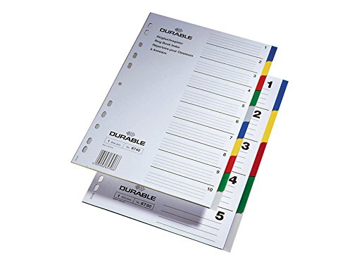 DURABLE Hunke & Jochheim Register, PP, blanko, farbige Taben, DIN A4, 210/220 x 297 mm, 5 Blatt - 4